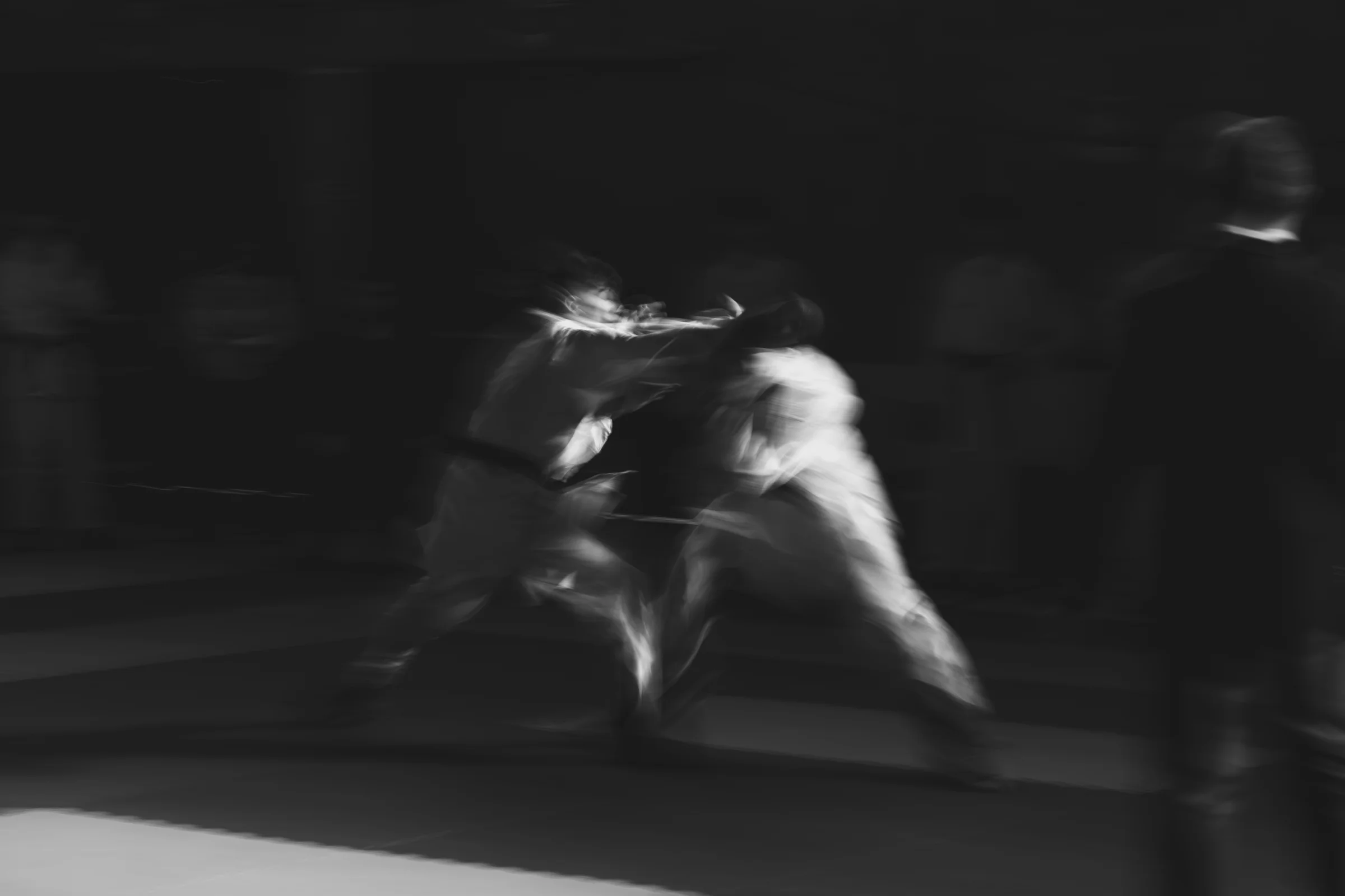 Ritratto di karateka in kimono